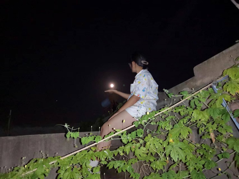 圖片13.jpg